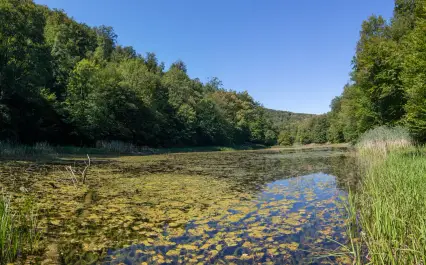 image / Préservation du milieu aquatique